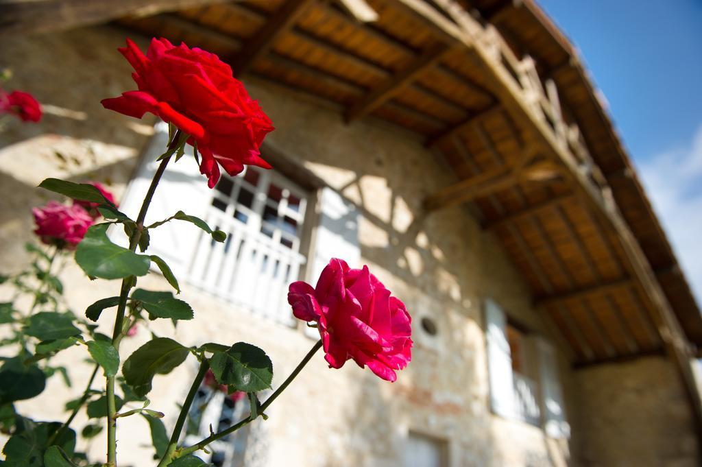Le Poutic Gite Et Maison D'Hotes Creon-d'Armagnac Zewnętrze zdjęcie