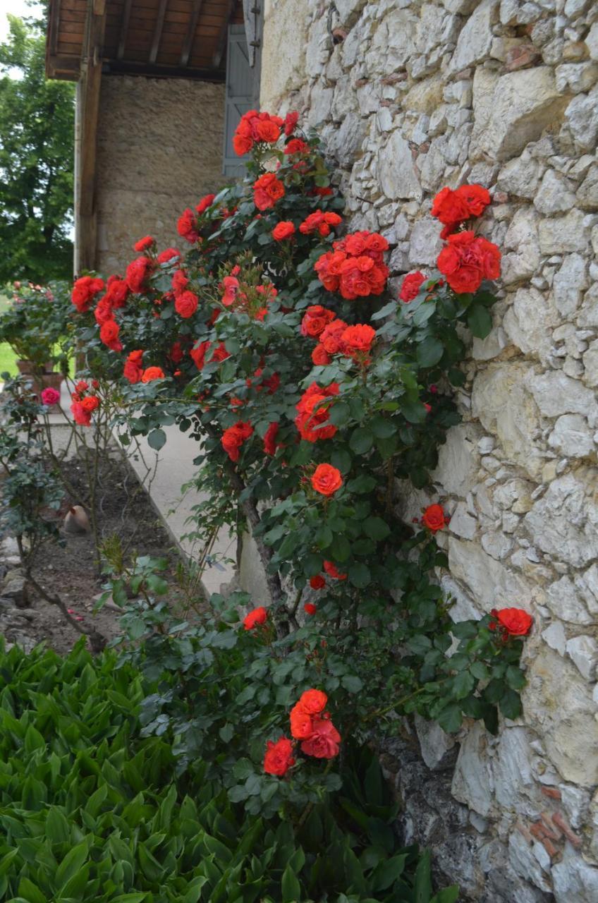 Le Poutic Gite Et Maison D'Hotes Creon-d'Armagnac Zewnętrze zdjęcie